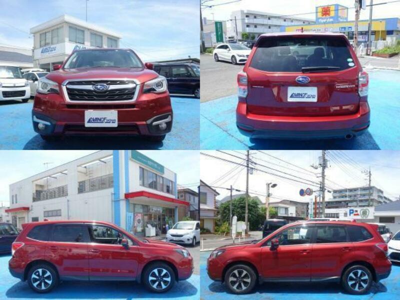 FORESTER