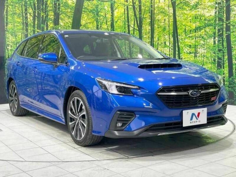 LEVORG