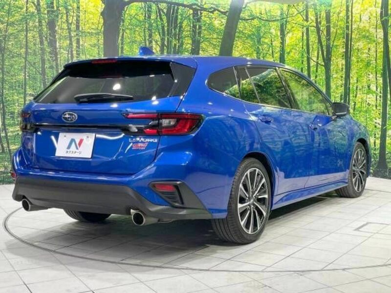 LEVORG