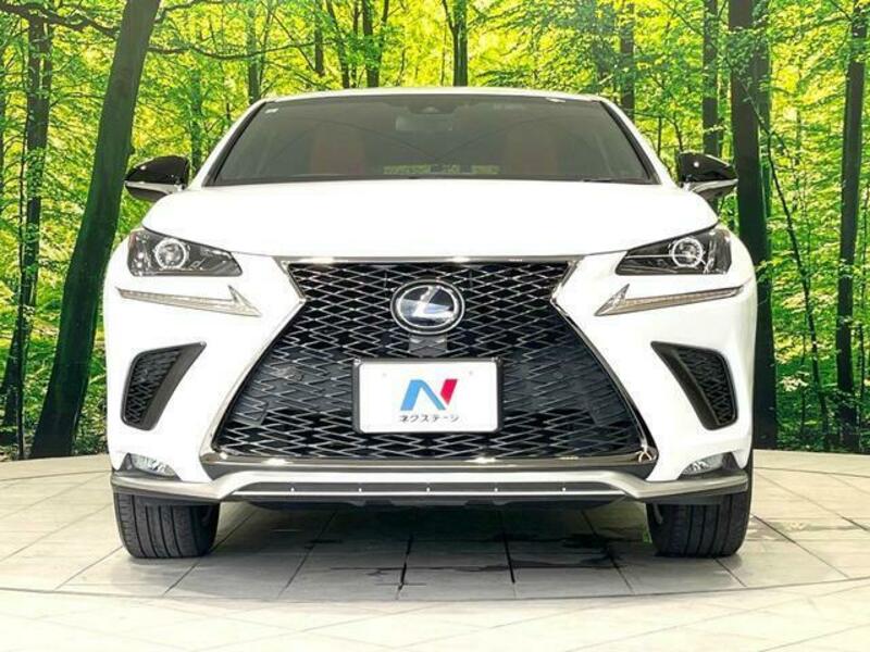 NX