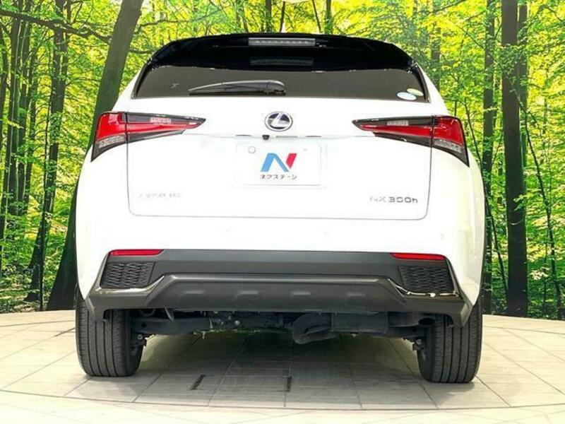 NX