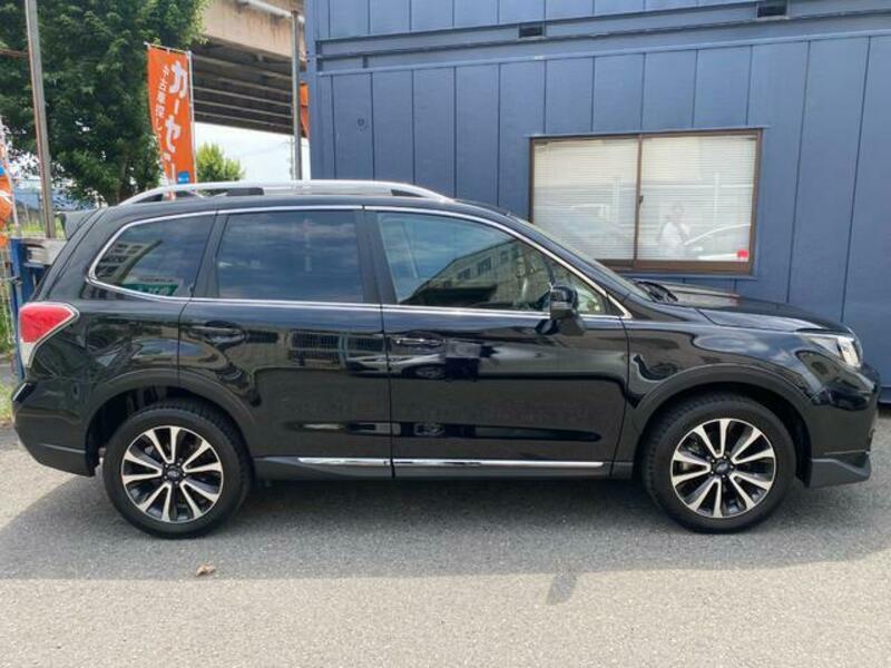 FORESTER