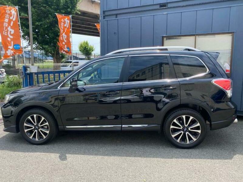 FORESTER