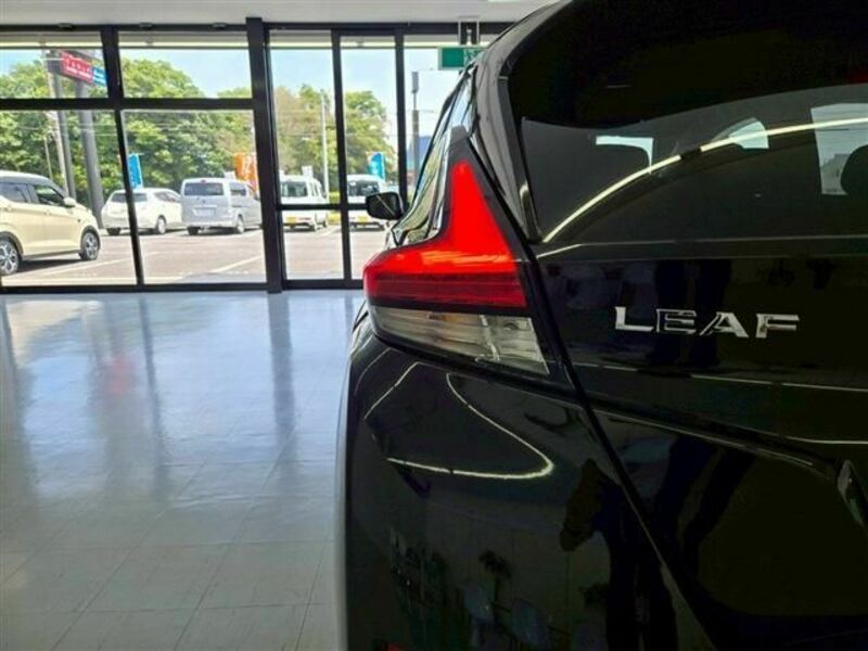LEAF