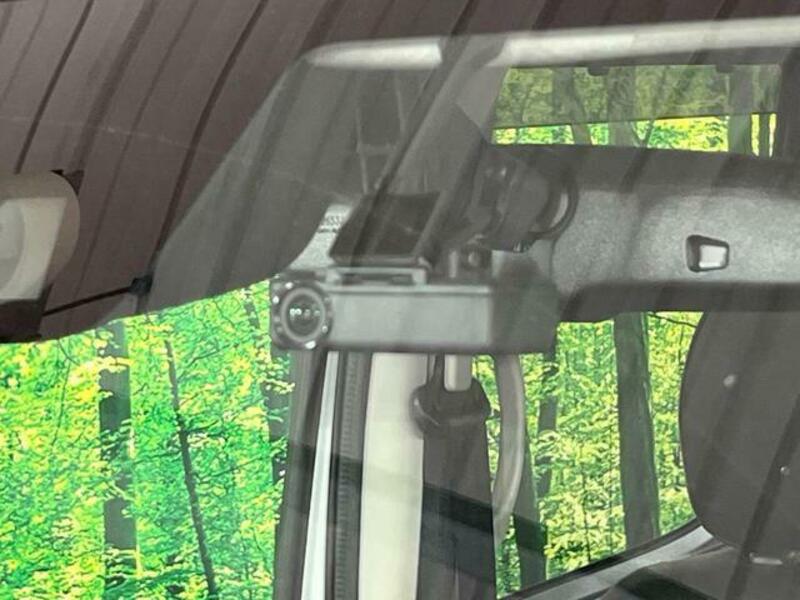 DAYZ ROOX