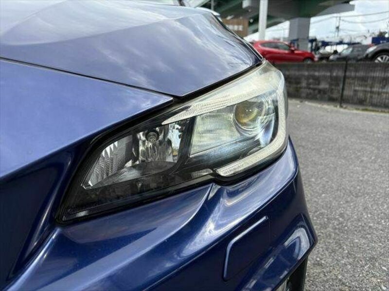 LEVORG