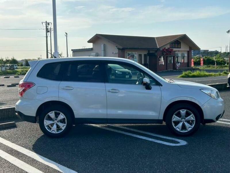 FORESTER