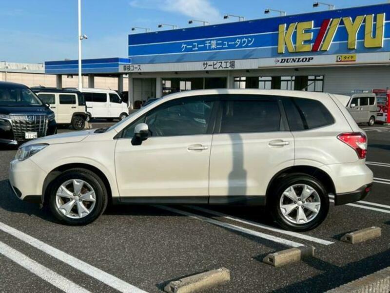 FORESTER