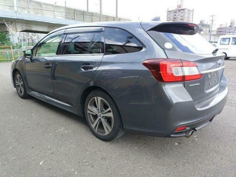 LEVORG