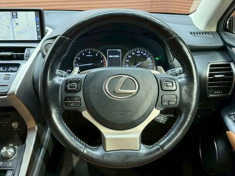 NX