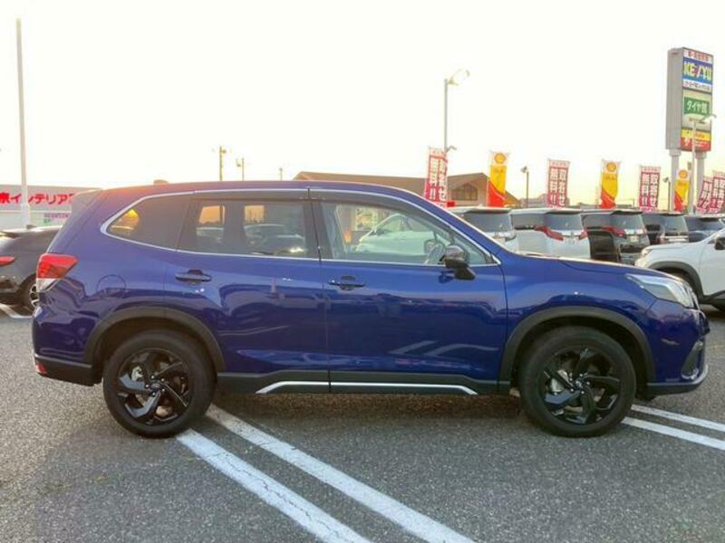 FORESTER