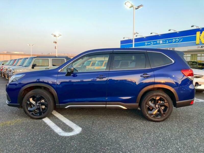 FORESTER
