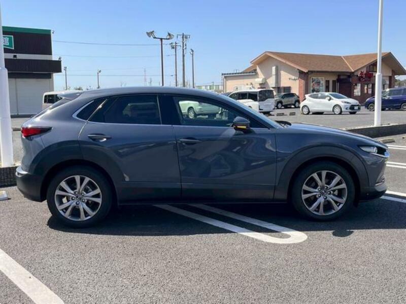 CX-30