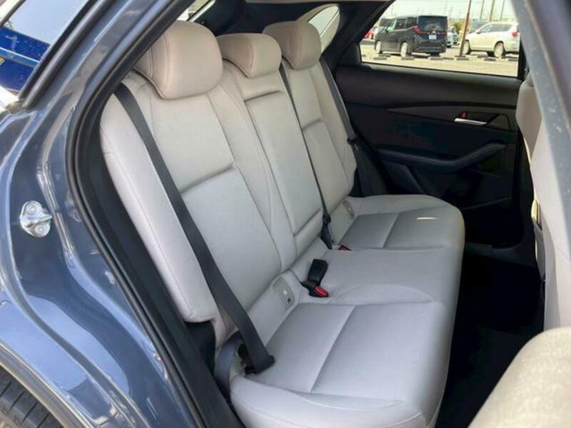 CX-30