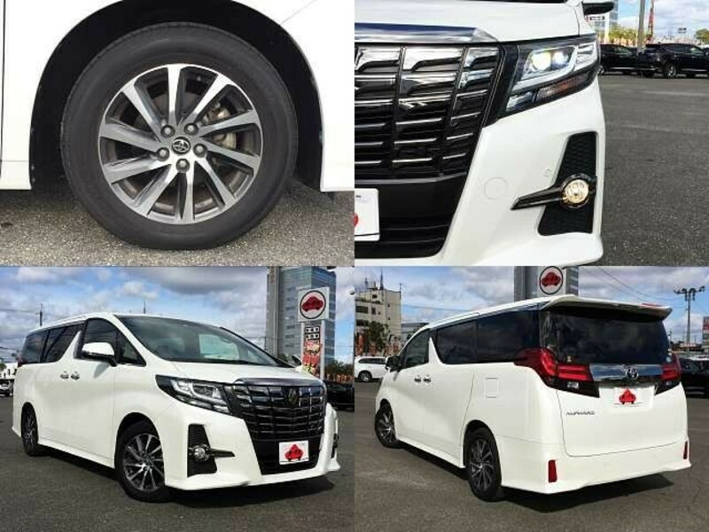 ALPHARD-7