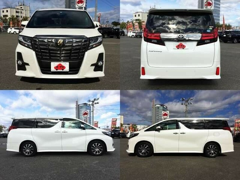 ALPHARD-8