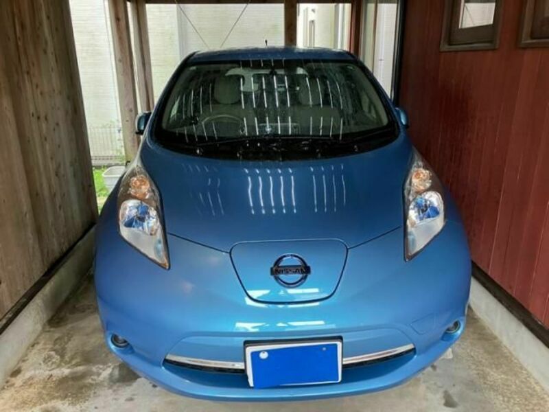 LEAF