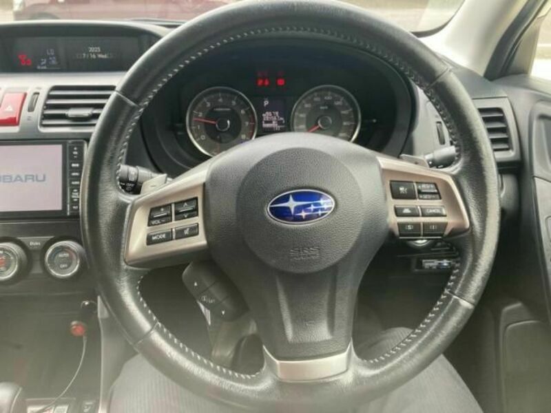 FORESTER