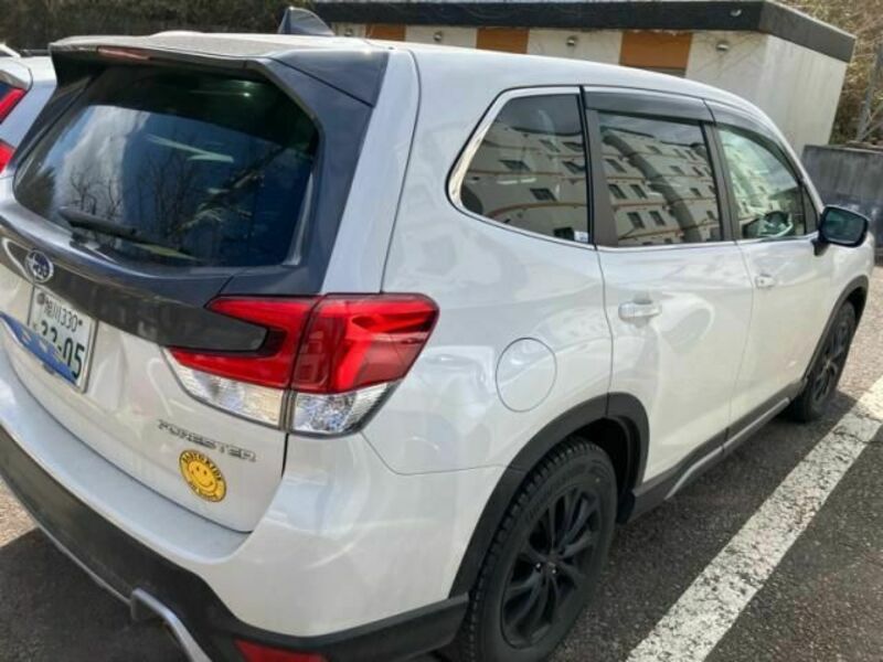 FORESTER