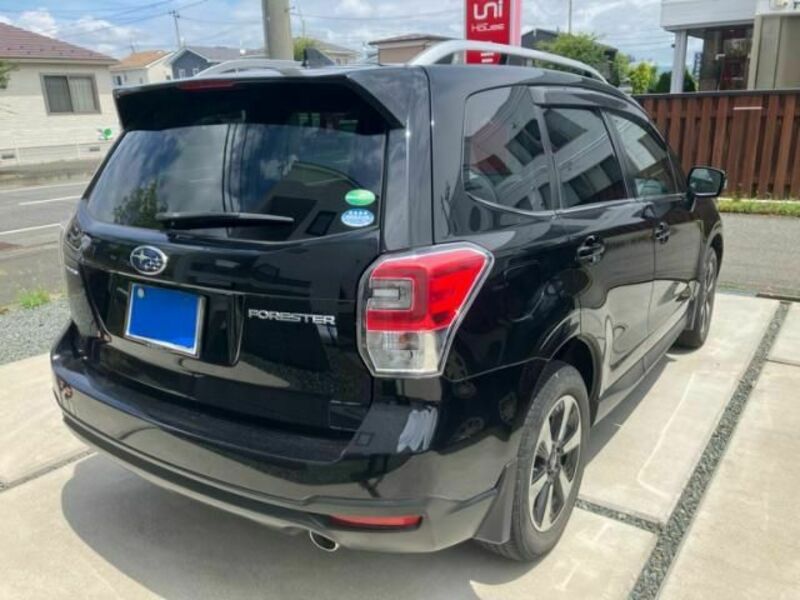 FORESTER