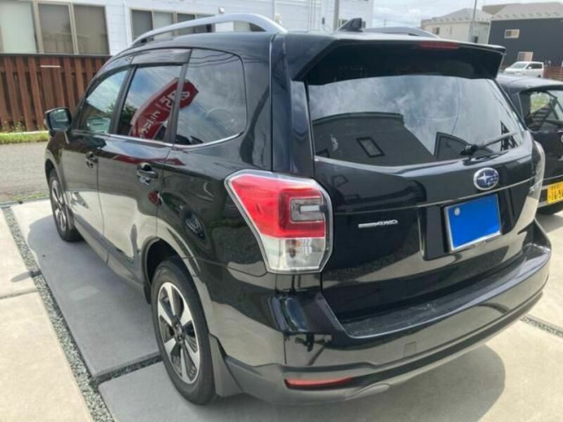 FORESTER
