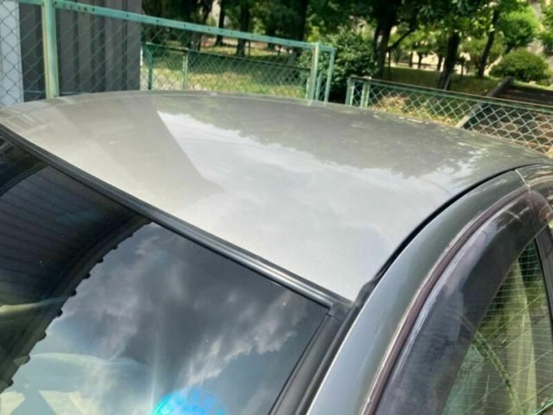 BLUEBIRD SYLPHY