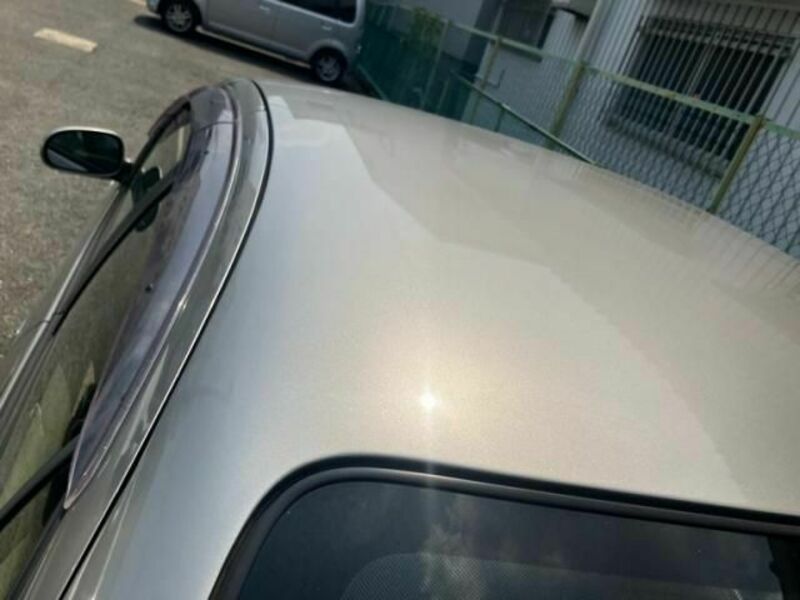 BLUEBIRD SYLPHY