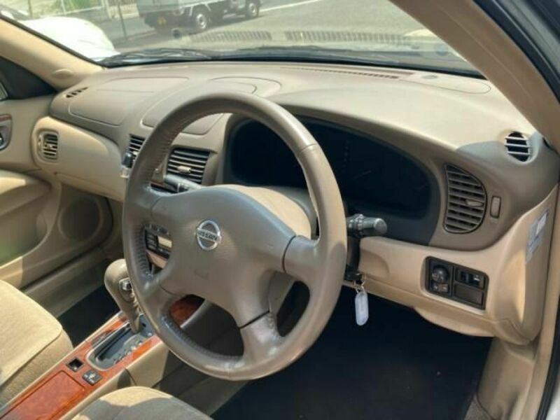 BLUEBIRD SYLPHY