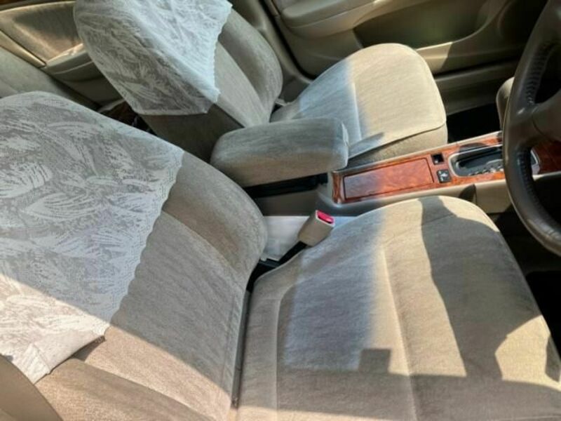 BLUEBIRD SYLPHY