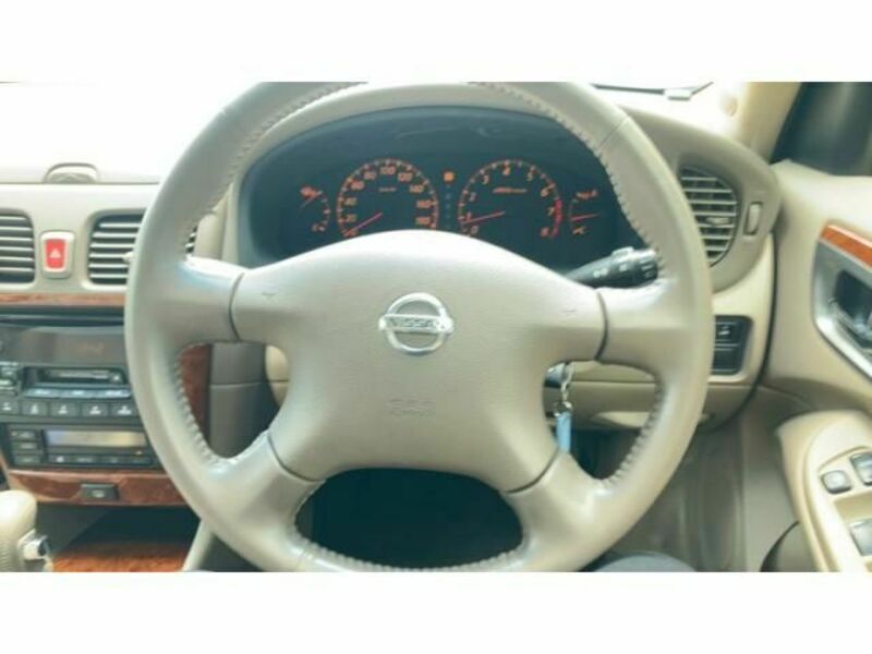 BLUEBIRD SYLPHY