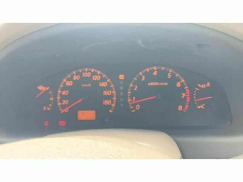 BLUEBIRD SYLPHY