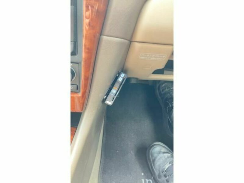BLUEBIRD SYLPHY