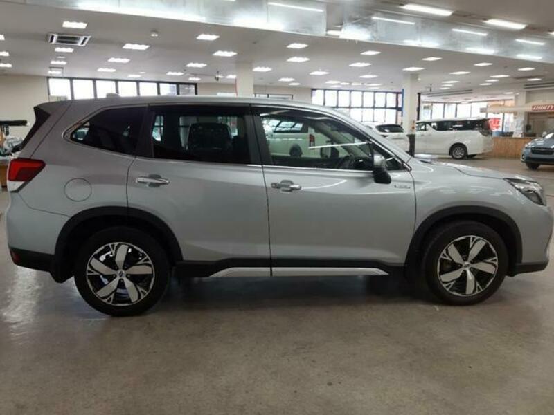 FORESTER