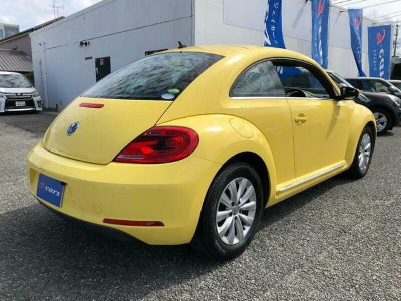 THE BEETLE
