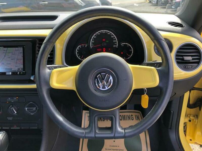 THE BEETLE