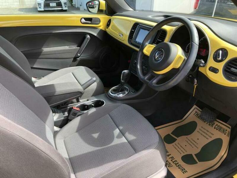THE BEETLE