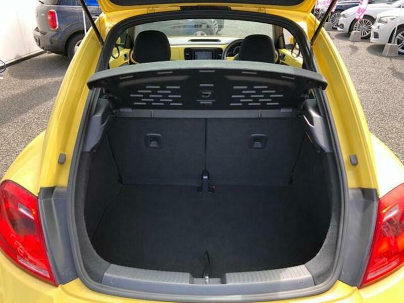 THE BEETLE