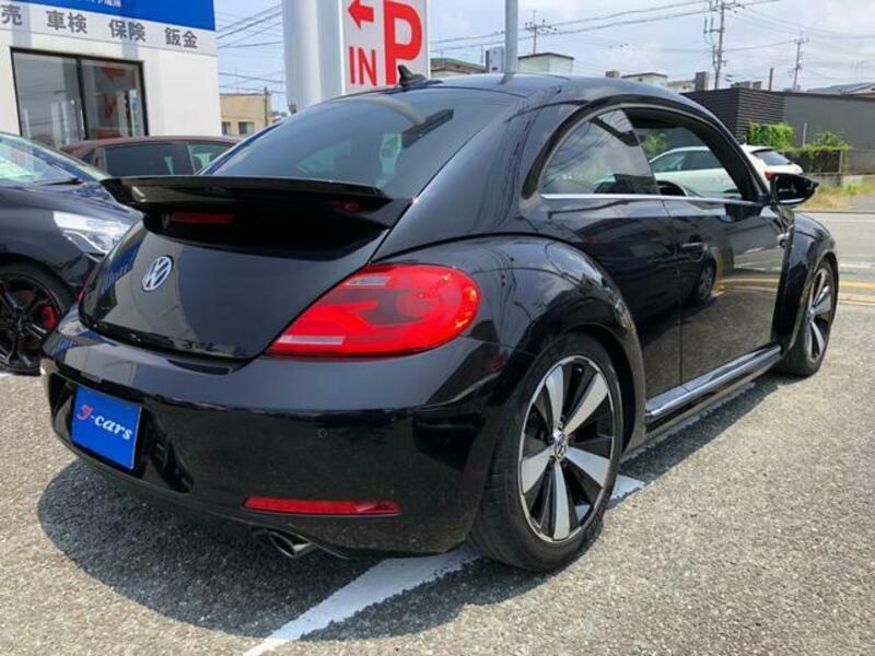 THE BEETLE