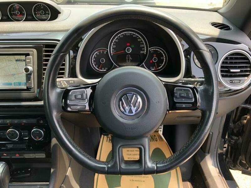 THE BEETLE