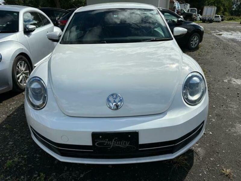 THE BEETLE