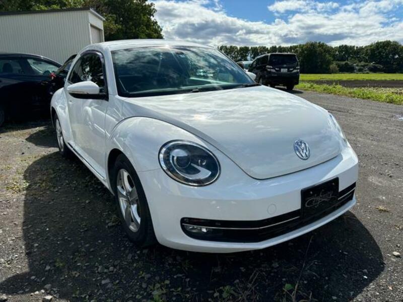 THE BEETLE