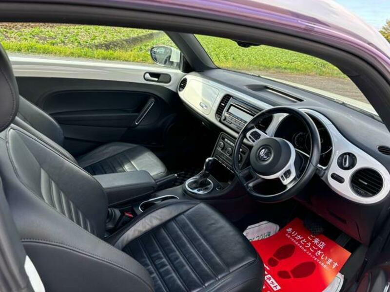 THE BEETLE