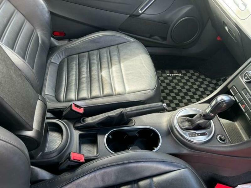 THE BEETLE