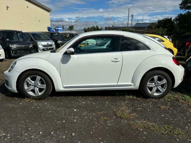THE BEETLE