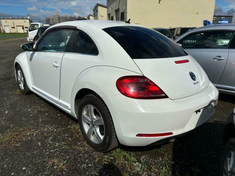 THE BEETLE