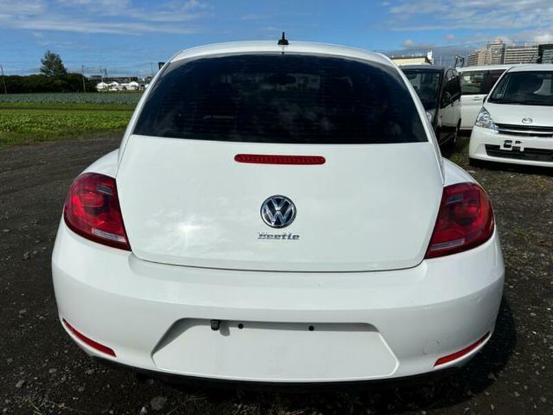 THE BEETLE