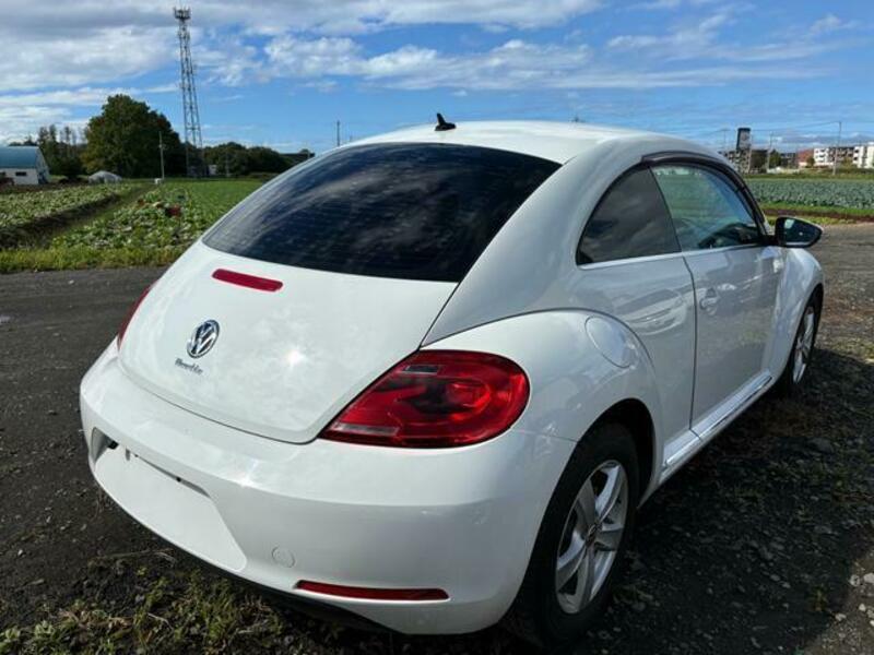 THE BEETLE