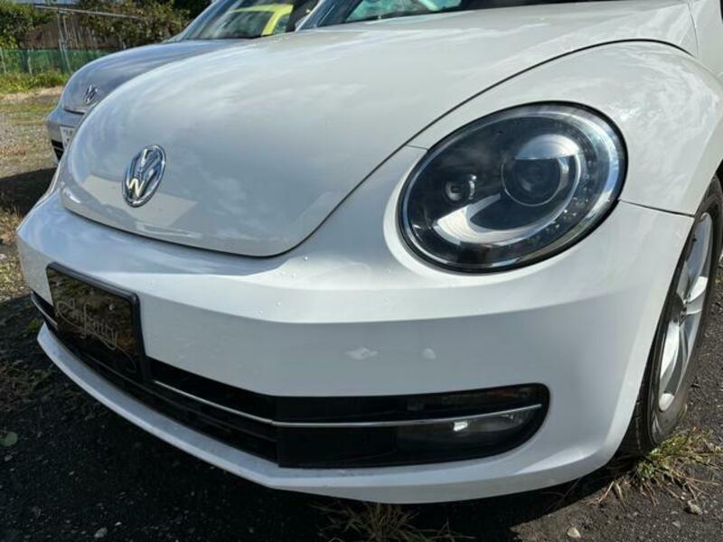 THE BEETLE