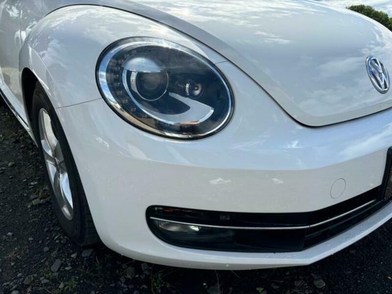 THE BEETLE