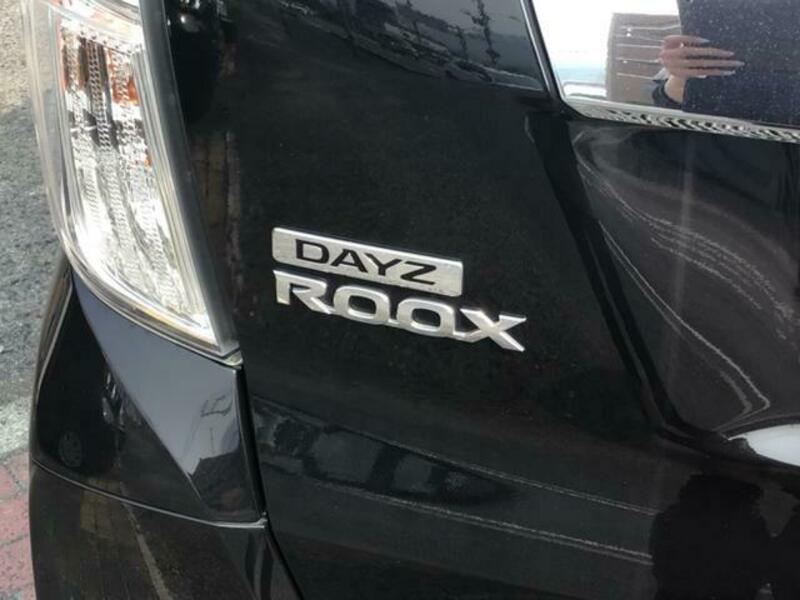 DAYZ ROOX